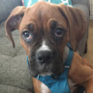 Meet your Posher, Jeffery